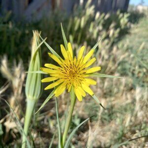 Meet your Posher, Hailey